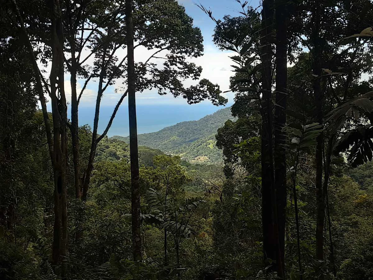 Finca Tesoro Escondido - The Jewel of Uvita - Gallery image 9