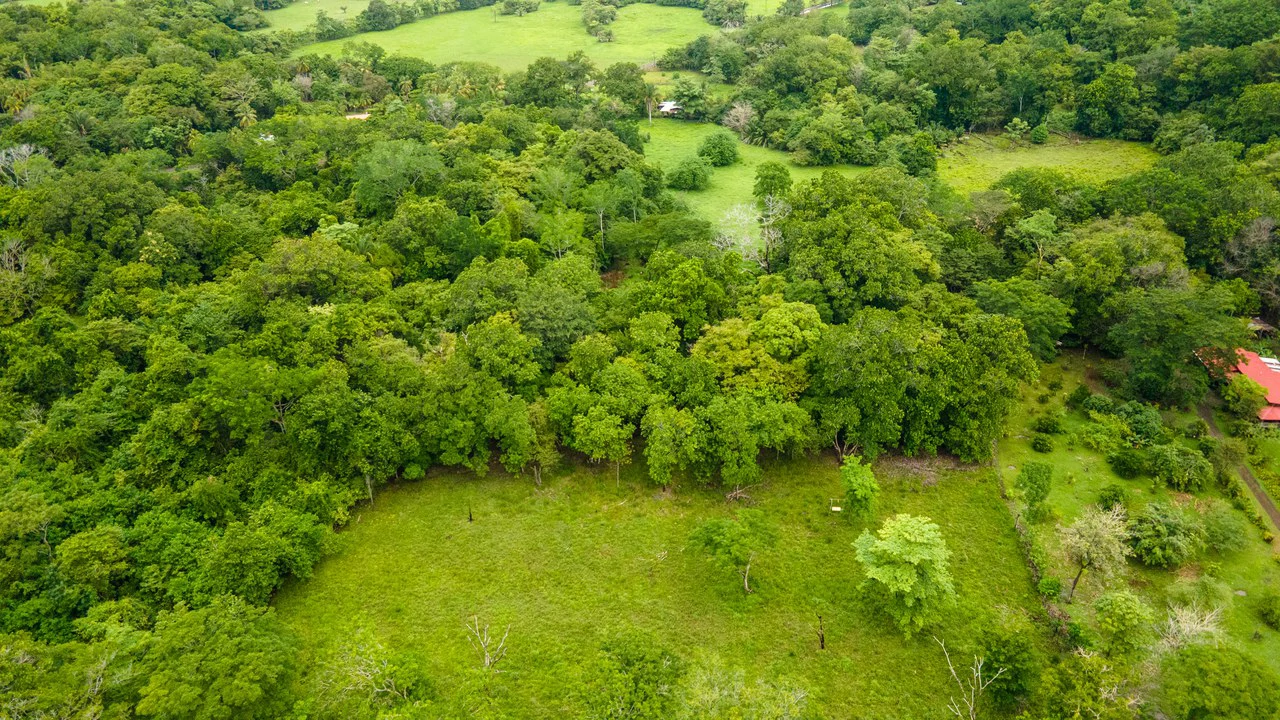 Exceptional Nearly 3-Hectare Property in Pueblo Nuevo, Bejuco, Guanacaste - Gallery image 7