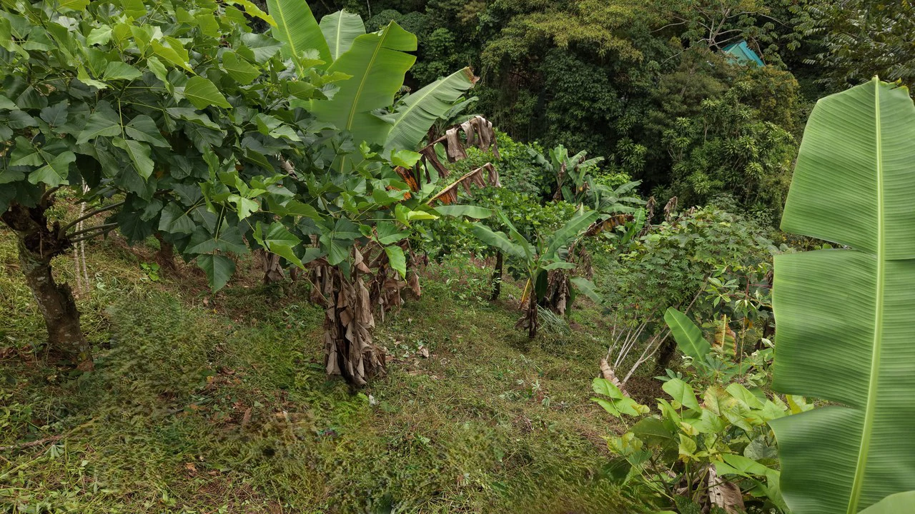 Mountain Home Construction Site For Sale in Chimirol de Rivas - photo 8