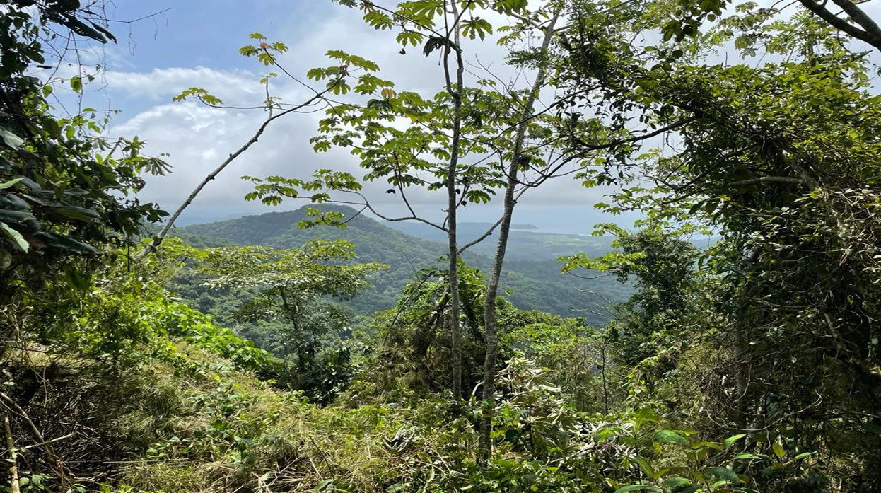 Ocean View Farm for Sale Guanacaste Costa Rica - Gallery image 2