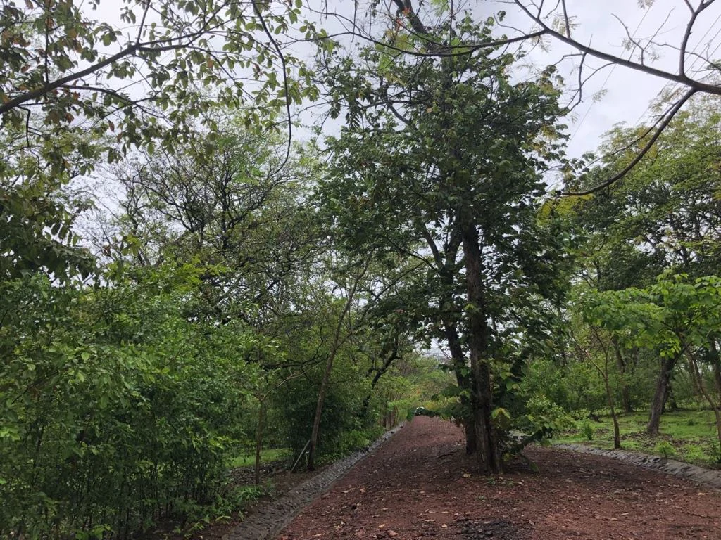 Lot in exclusive Residential, close to Beach Tamarindo - Gallery image 5