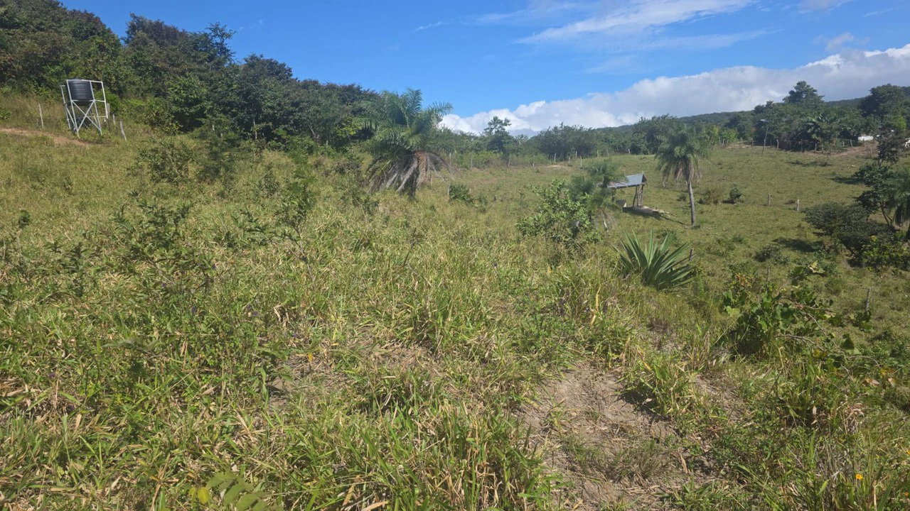 Mountain Property for Sale with charming 360º views of Guayabos Valley and the Volcanoes - Gallery image 48