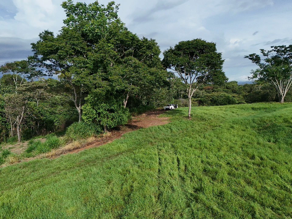 Agricultural Land For Sale in Entre Cocorí y Pavones - Gallery image 5