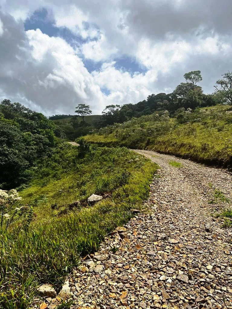 4.5 ha building land with fantastic lake view - Gallery image 8