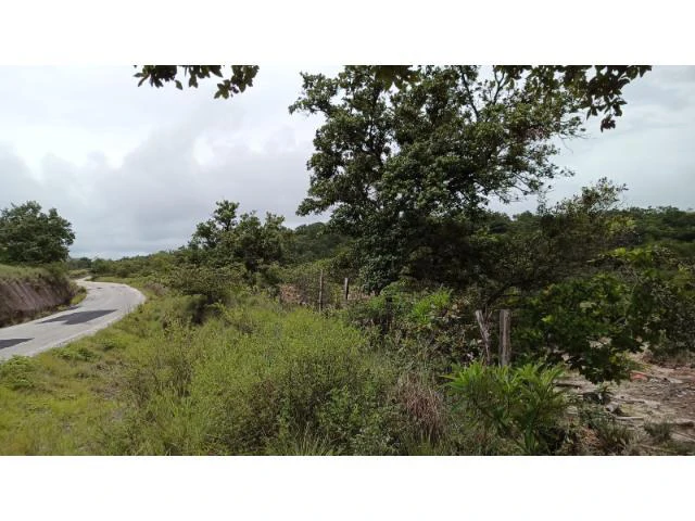 Huge Tico-Farm for sale with a big house in the mountains of Liberia, surrounded by nature and fantastic valley views - Gallery image 32