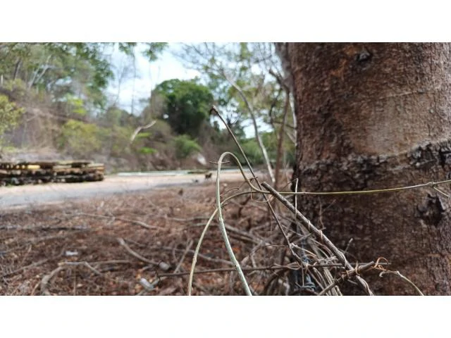 Amazing building property for sale 5 minutes away from Liberia center and 2 minutes walking to the Colorado River - Gallery image 18