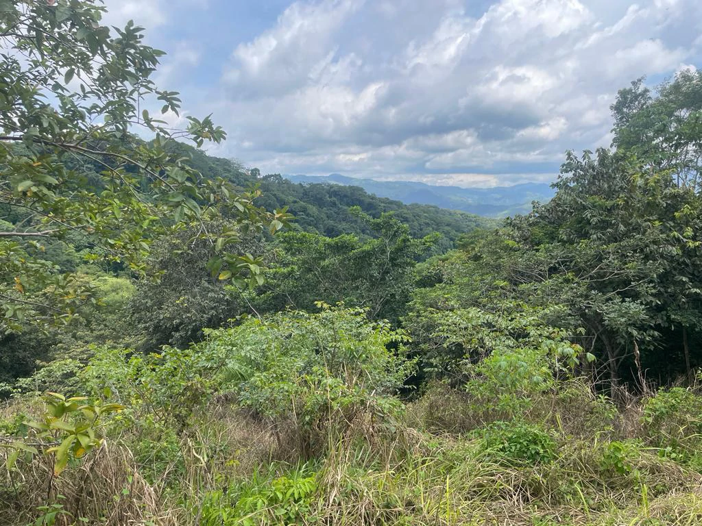 Lot for sale in Residential Vista Mar ocean and mountains view between San Mateo and Orotina Alajuela Costa Rica - Gallery image 6
