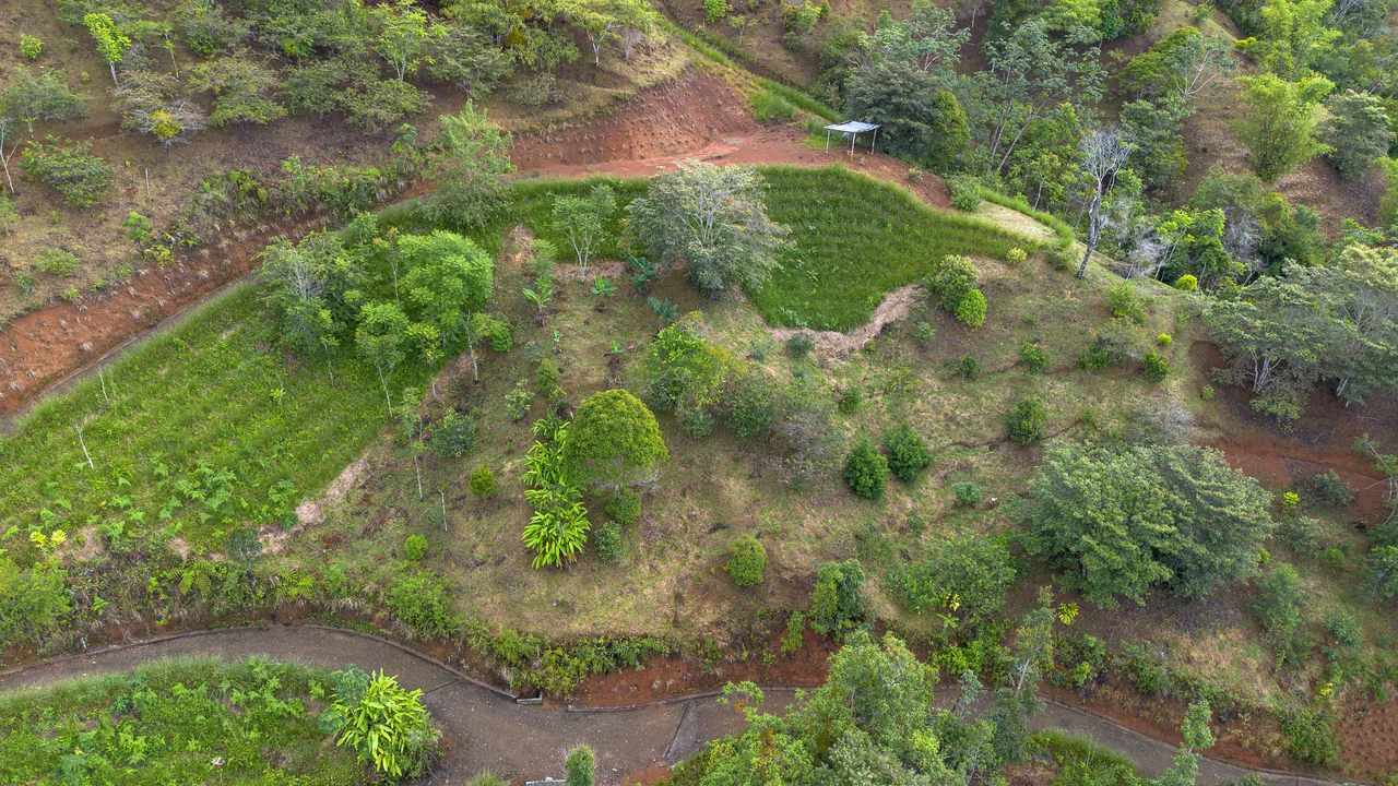 10.21 Acres with Views & Plantels – Pérez Zeledón - Gallery image 10