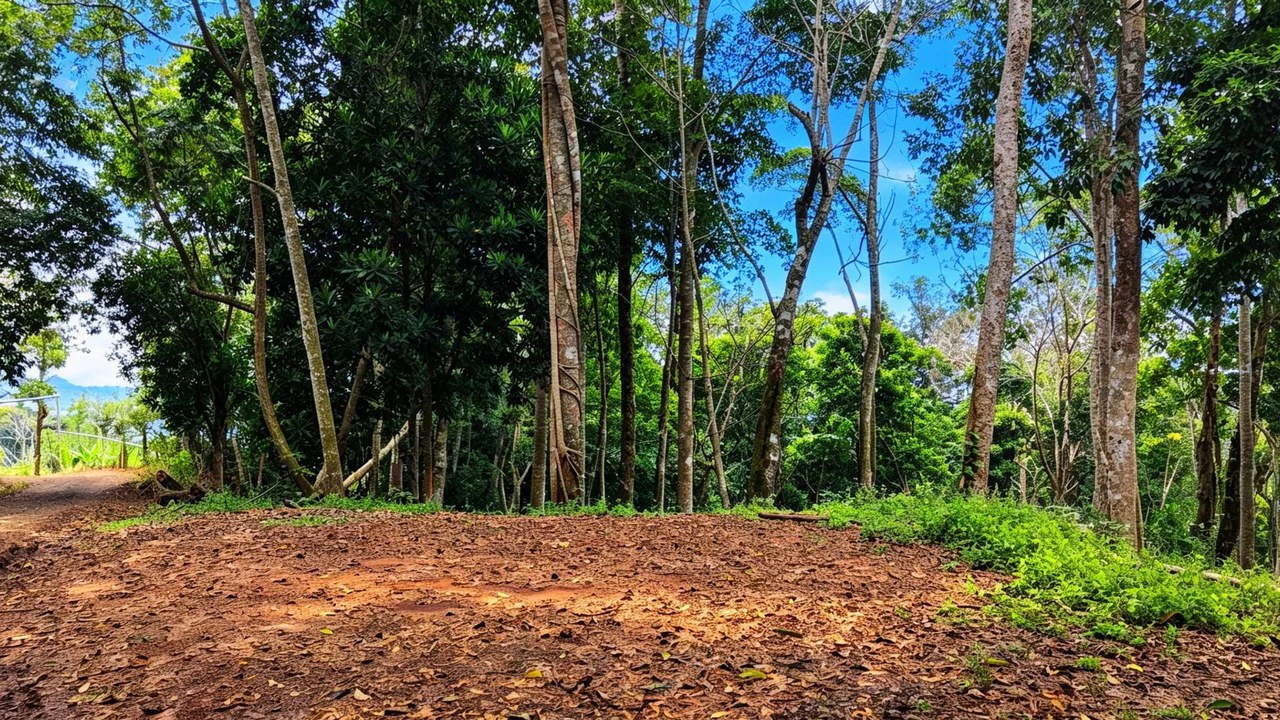 Home Construction Site For Sale in San Isidro del General