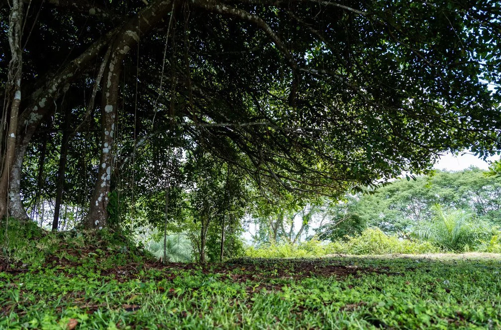 Ocean view farm for sale in Bejuco Nandayure Guanacaste Costa Rica - Gallery image 8