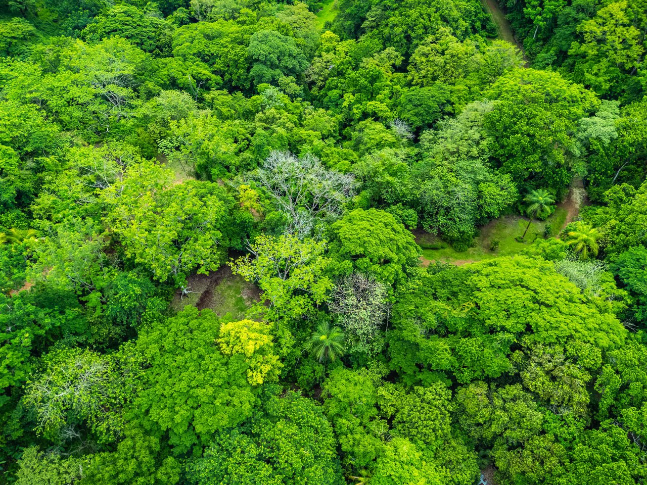 The Refuge: Ecological Lots in Hojancha Blue Zone - photo 15