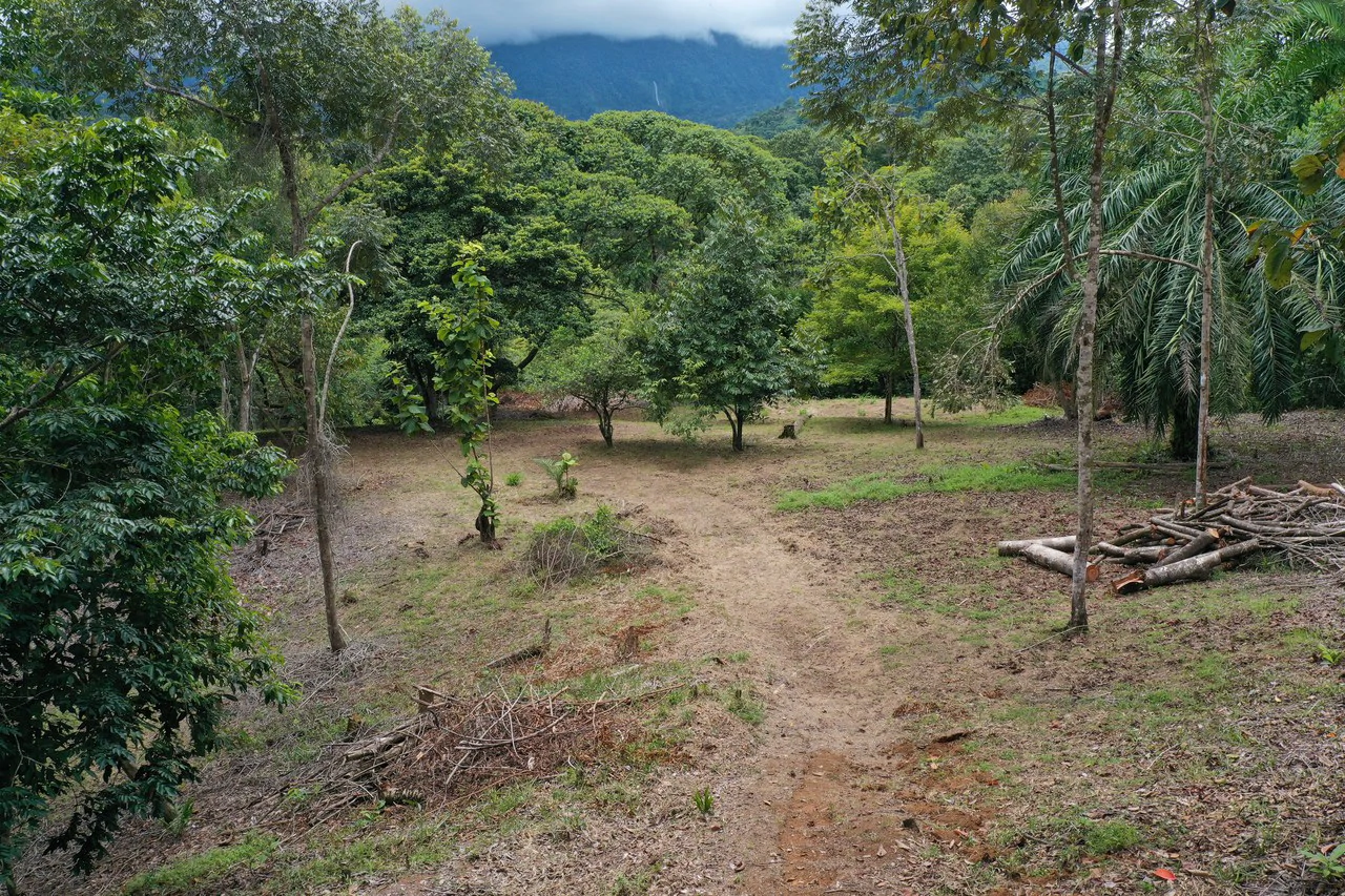 Diamante Waterfall View Land in Dominical 2.9 Acres - Gallery image 4