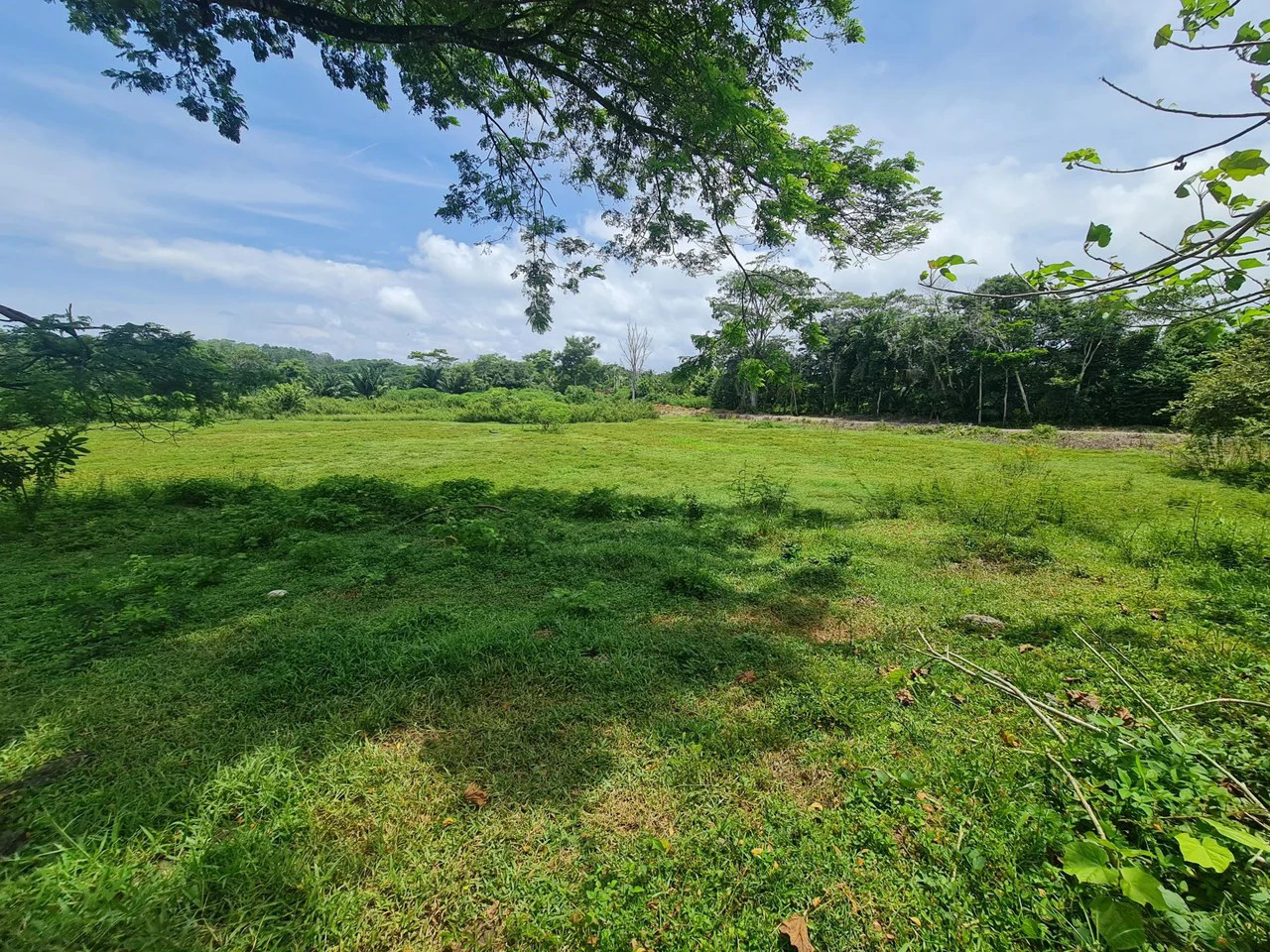Agricultural Land For Sale in Bejuco - Gallery image 2