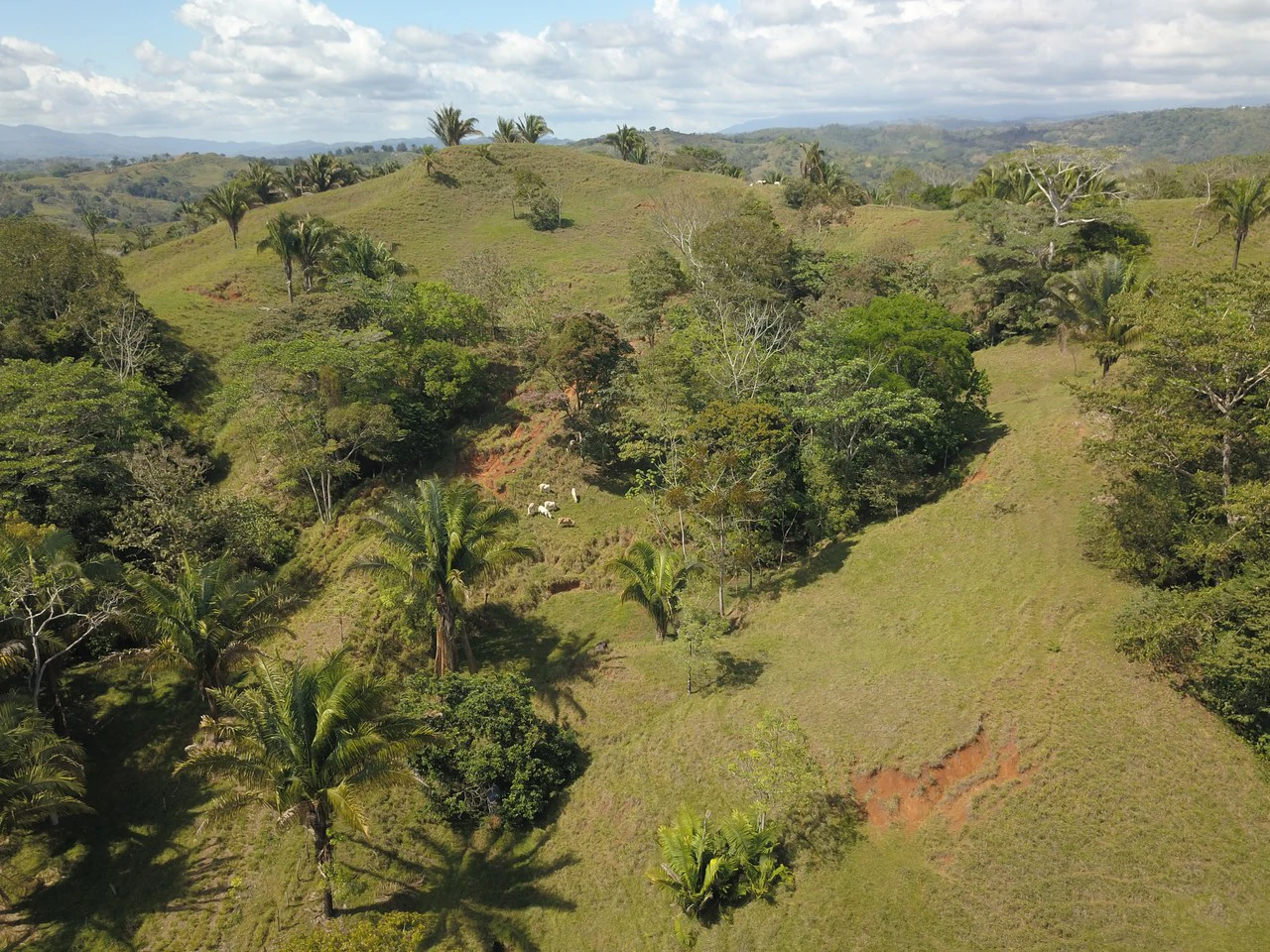 Finca Guapinol de Parrita: Near the Coast, Mountain and Countryside Agricultural Land For Sale in Parrita - Gallery image 7