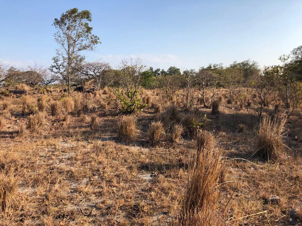 Airport Property - in front of route 21, Liberia - Gallery image 21