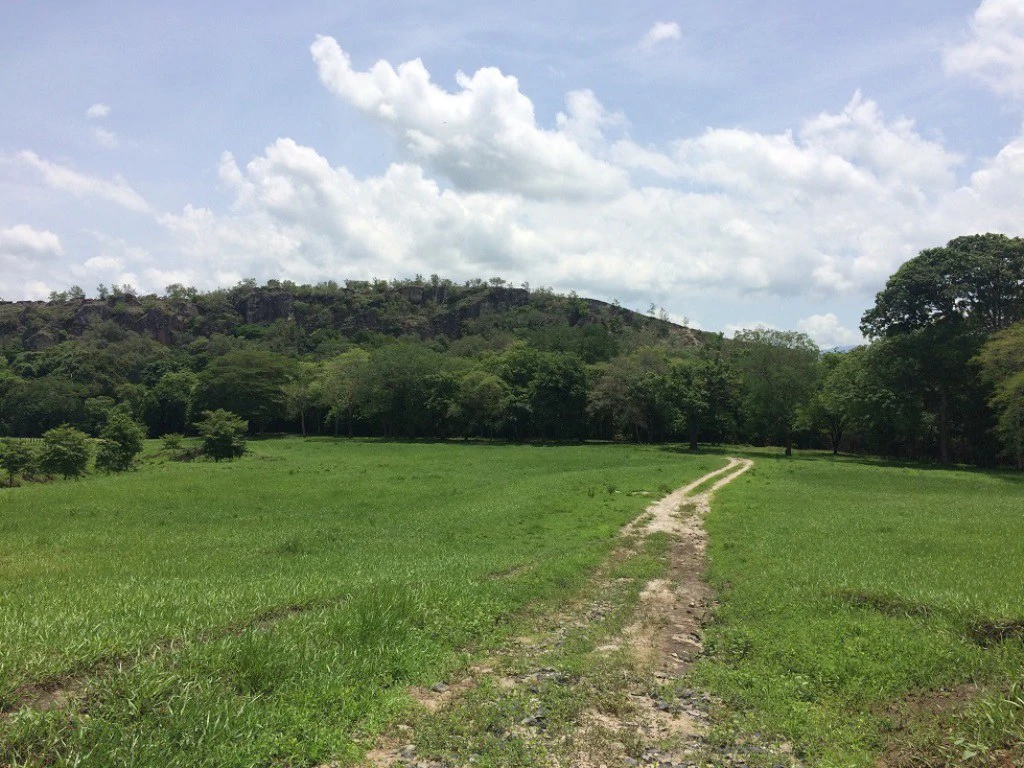 Propiedad de 79 hectáreas: Property of 79 hectares, located in Canas Dulces Liberia. - Gallery image 13