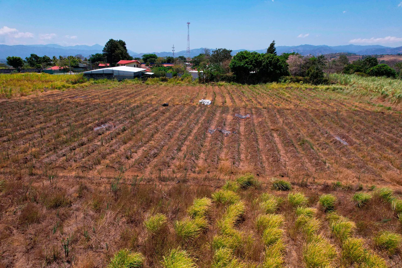 Land for Sale for Investment in Grecia - Gallery image 12