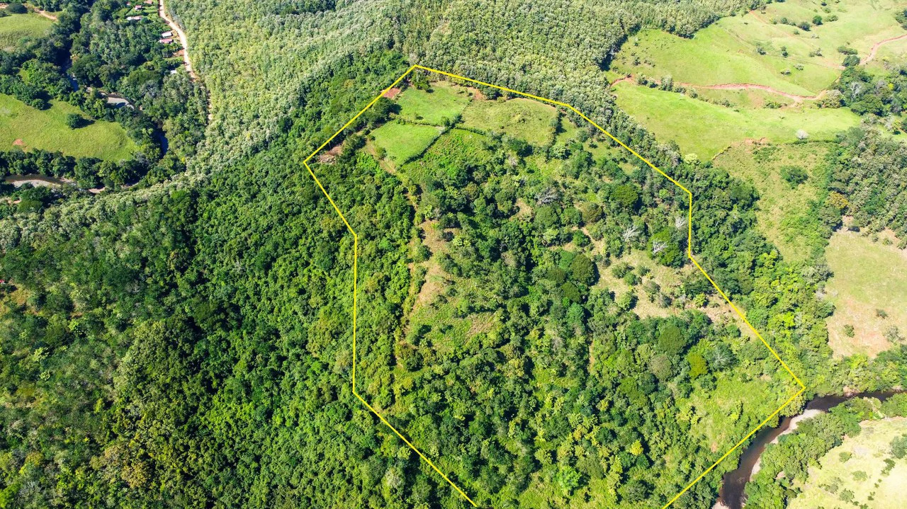 35 Acre Finca - A Natures Lover Or Developers Dream With Stunning Views - photo 2