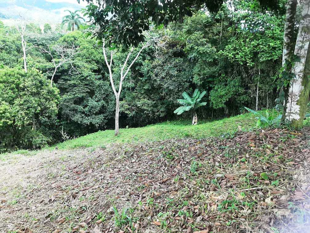 3.2 Acre Riverfront Property with Mountain Views San Francisco San Isidro - Gallery image 30