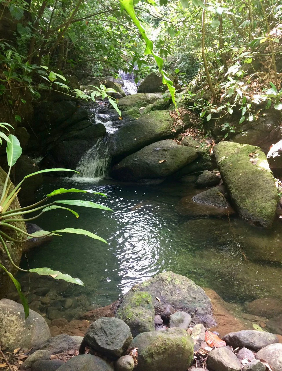 Casa OdiSea – Private Ocean View Estate with Waterfall Access in Portasol, Costa Rica: Mountain House For Sale in Portalon - Gallery image 15