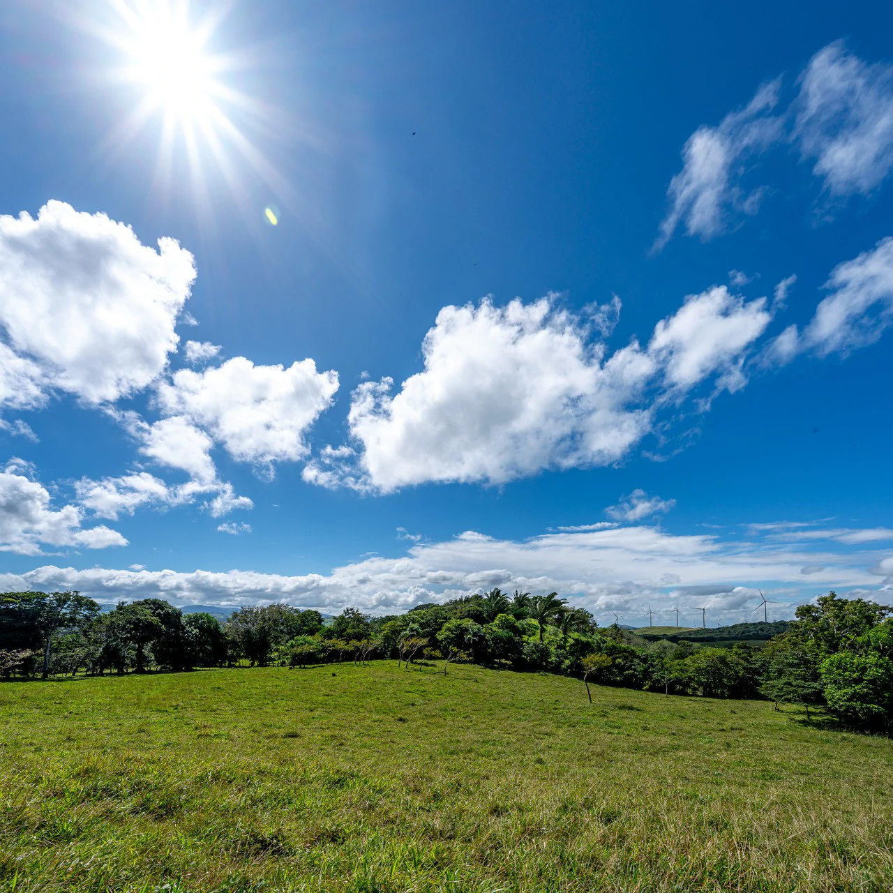 LA CABAÑA - COUNTRY ESTATE WITH HUGE POTENTIAL - Gallery image 3