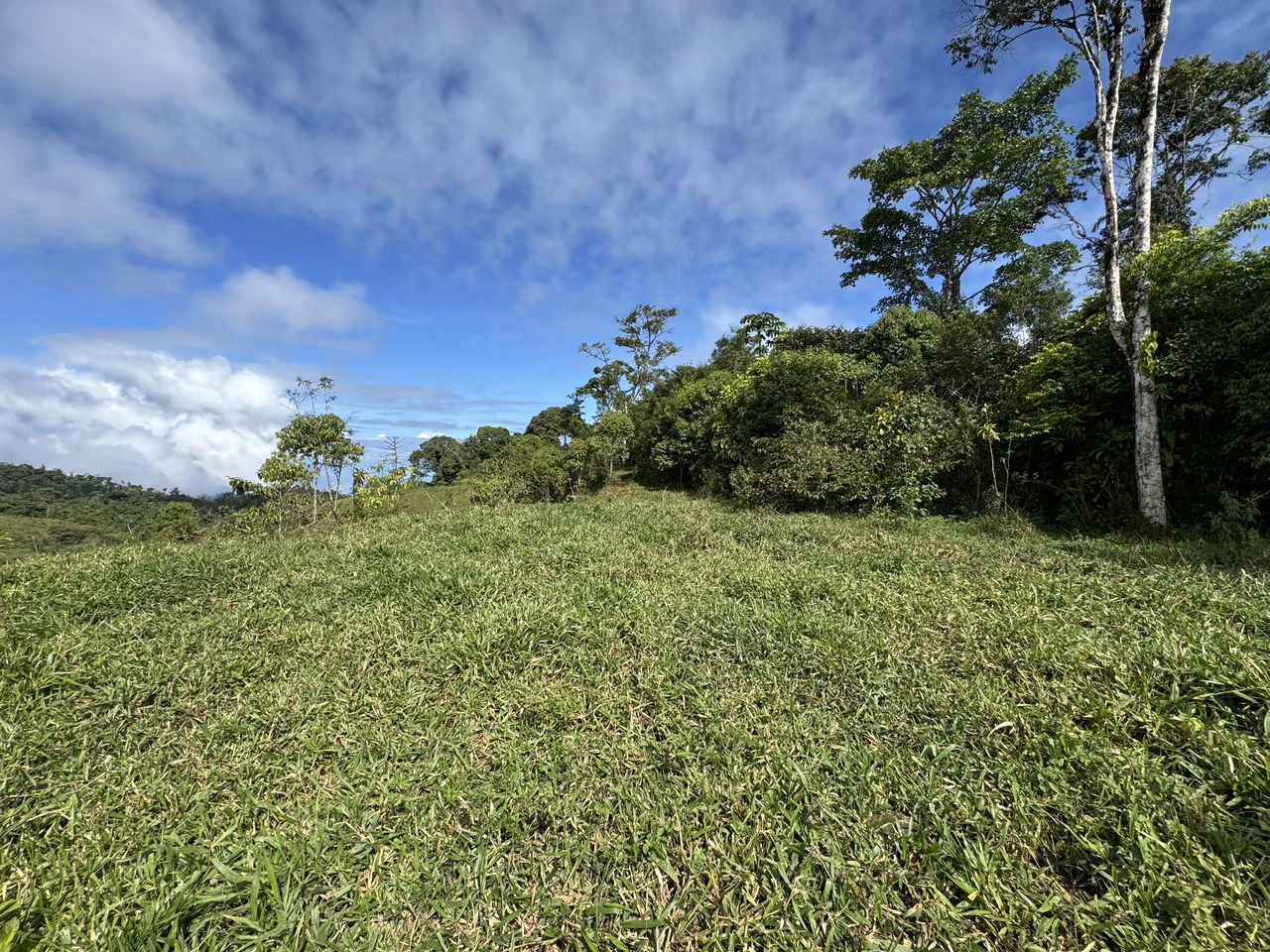 47 Acre Off Grid Ranch with Ocean & Mountain Views San Lorenzo Perez Zeledón - Gallery image 8