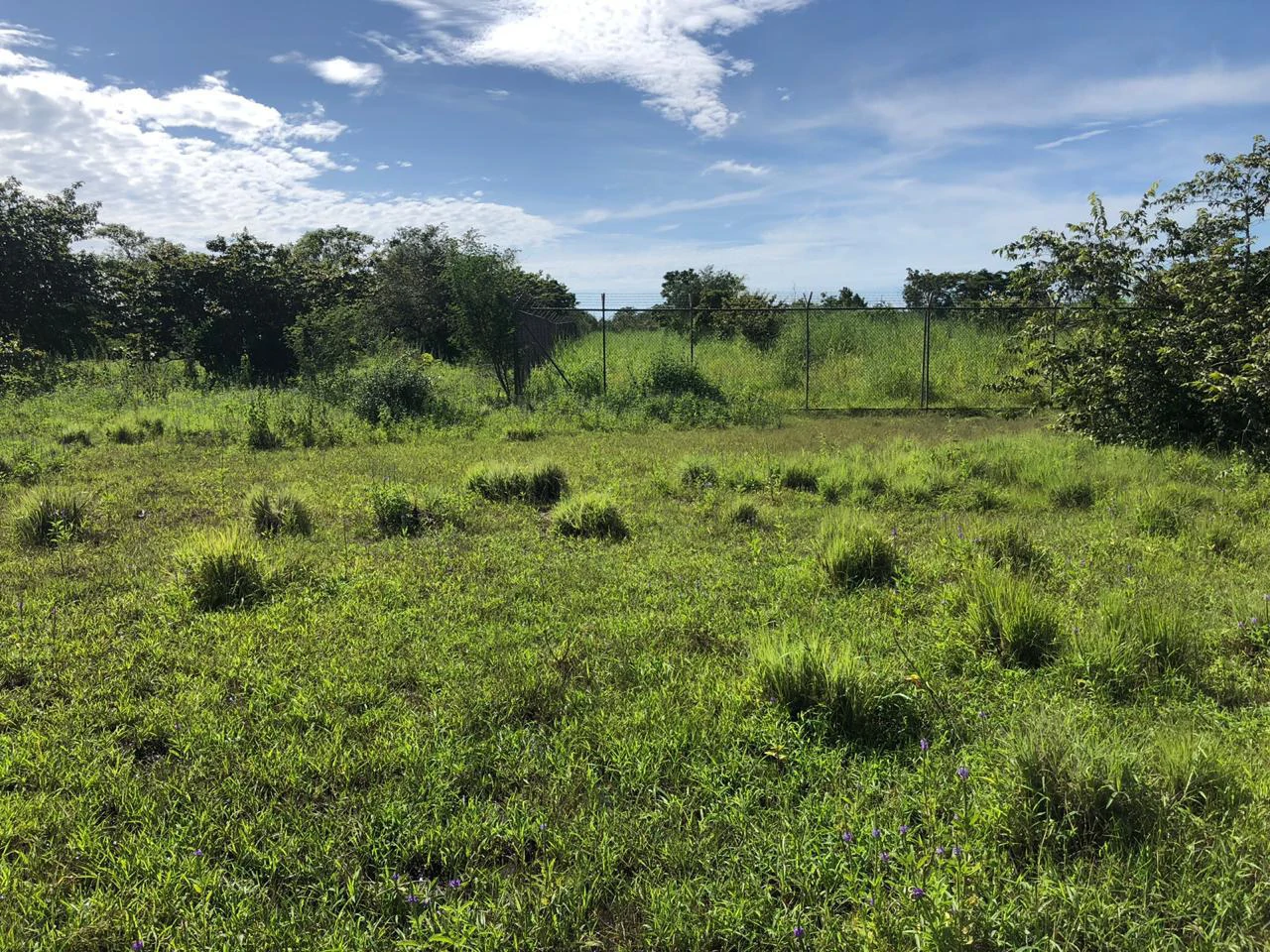 Great investment opportunity, property adjacent to Liberia Airport - Gallery image 4