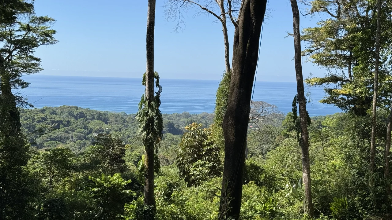 Two Ocean View Lots in Uvita – Easy Access and Large Building Sites - Gallery image 9