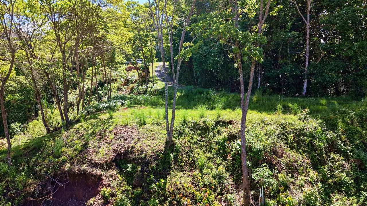 Mountain Home Construction Site For Sale in Guadalupe - Gallery image 9