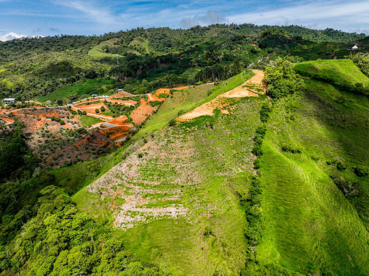 12 Acre Fruit Farm Above San Isidro City Lights Chirripó Views and Deep Well Water - Gallery image 18