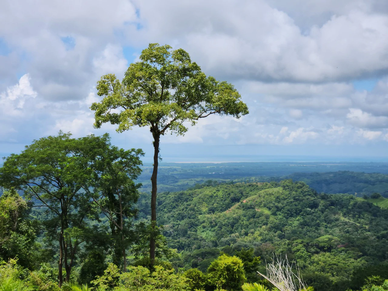PRIME PARRITA FARM FOR SALE - Gallery image 34