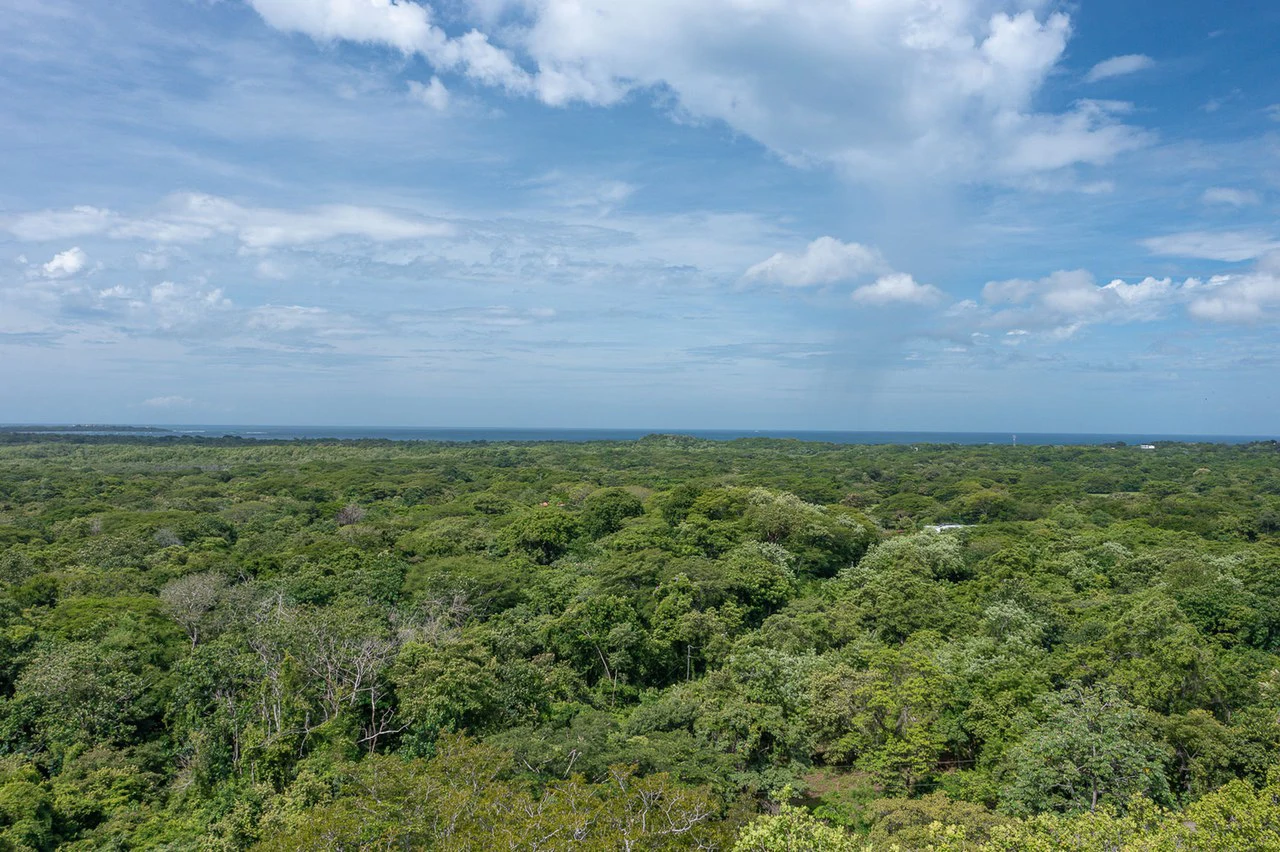 Ocean Views in Playa Grande: 2 Adjacent Ocean View Lots - 1 Great Price! - Gallery image 3