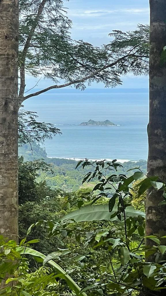Eduardo Lee 17 Acres: Mountain Agricultural Land For Sale in Bejuco - Gallery image 9
