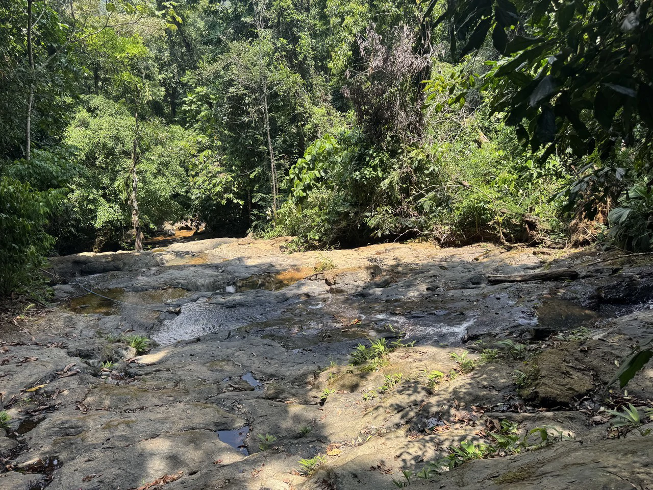 50 Acre Waterfall and River Paradise Above Dominical - Gallery image 64