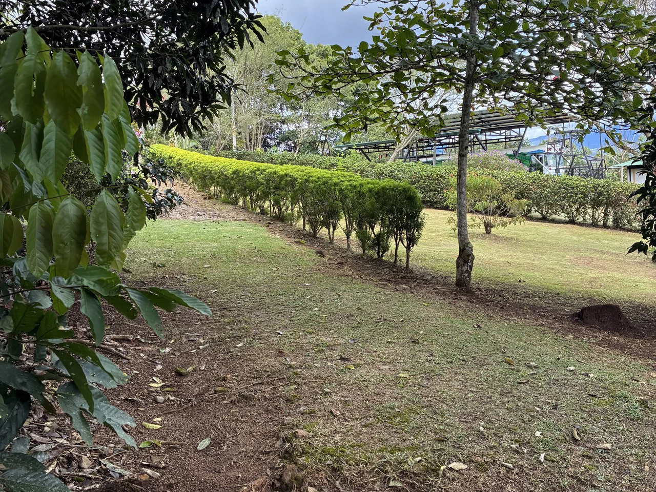 Building Lot 2O minutes from San Isidro with Fruit Trees and Views - Gallery image 4