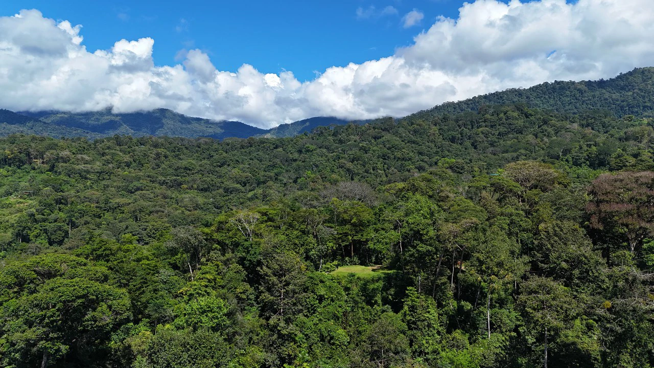 1.7 Acres Ocean View Lot with Producing Cabin in Uvita - Gallery image 4