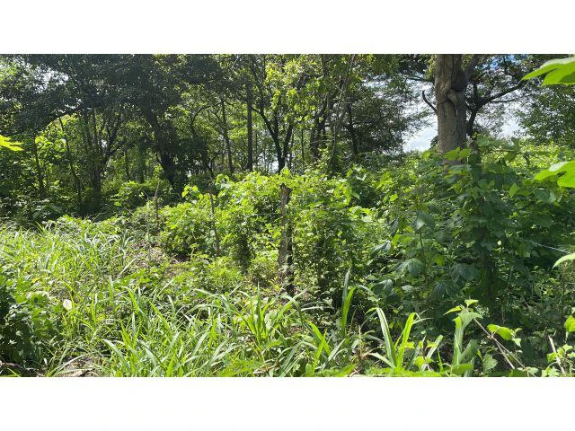 Building potential property for sale in Guadalupe, 5 minutes away from Liberia and 20 from the National Park of Rincon de la Vieja - Gallery image 10