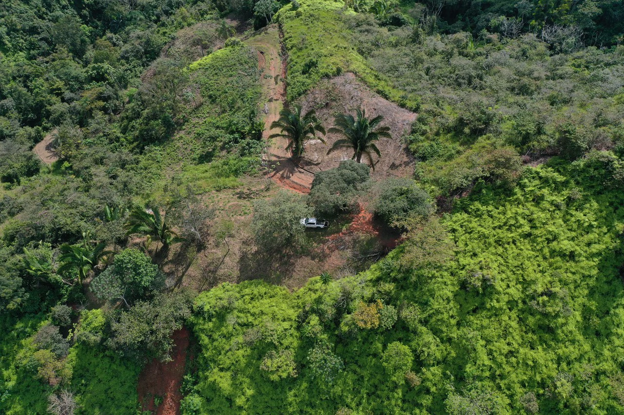 12 Acre Ocean View Farm in a Private Agricultural Community - Gallery image 15