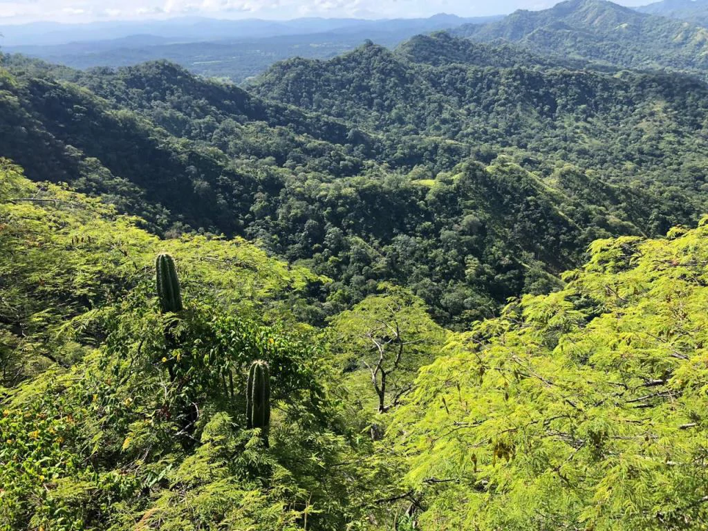 Ocean View Property with Panoramic Views on the Pacific Gold Coast – Guanacaste - Gallery image 10