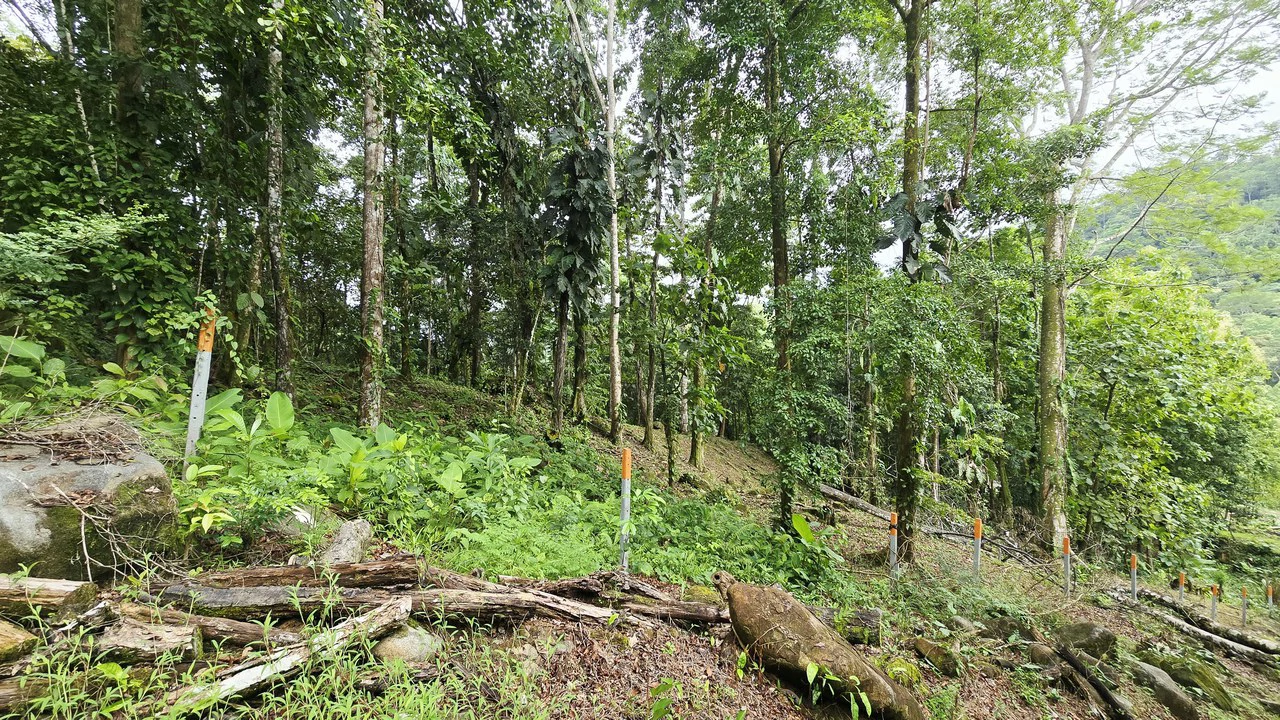 Near the Coast Home Construction Site For Sale in Uvita - photo 15