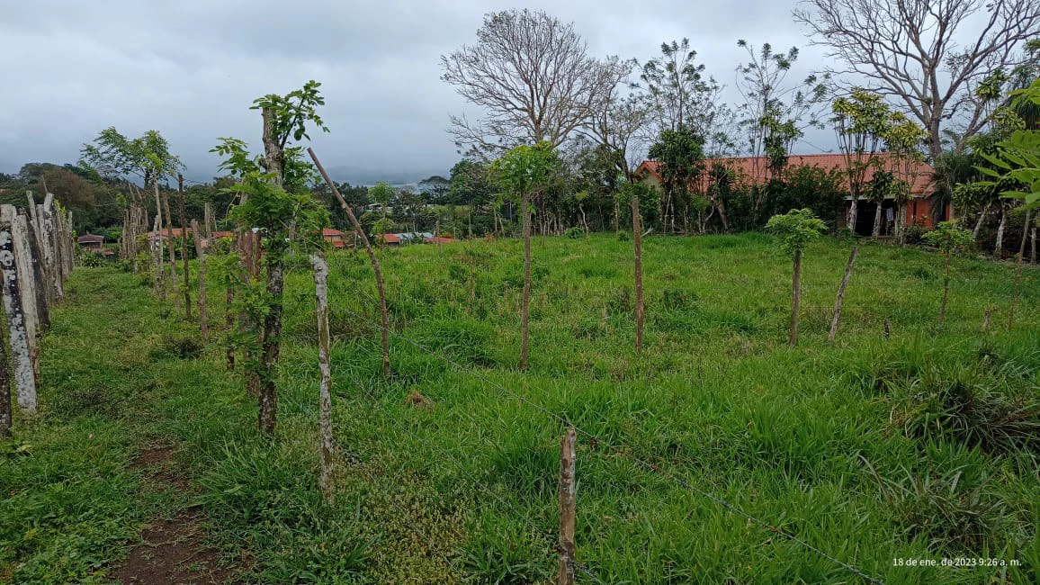 Quinta Aurora: Mountain and Lake View lot, ready for construction - Gallery image 4