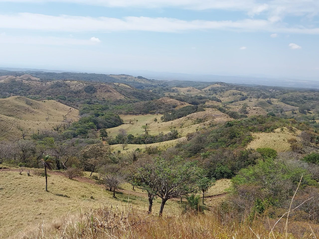 Finca de 613 acres/248 ha. con Linda Casa y Bonitas Vistas: Countryside Agricultural Land For Sale in Bagaces - Gallery image 12