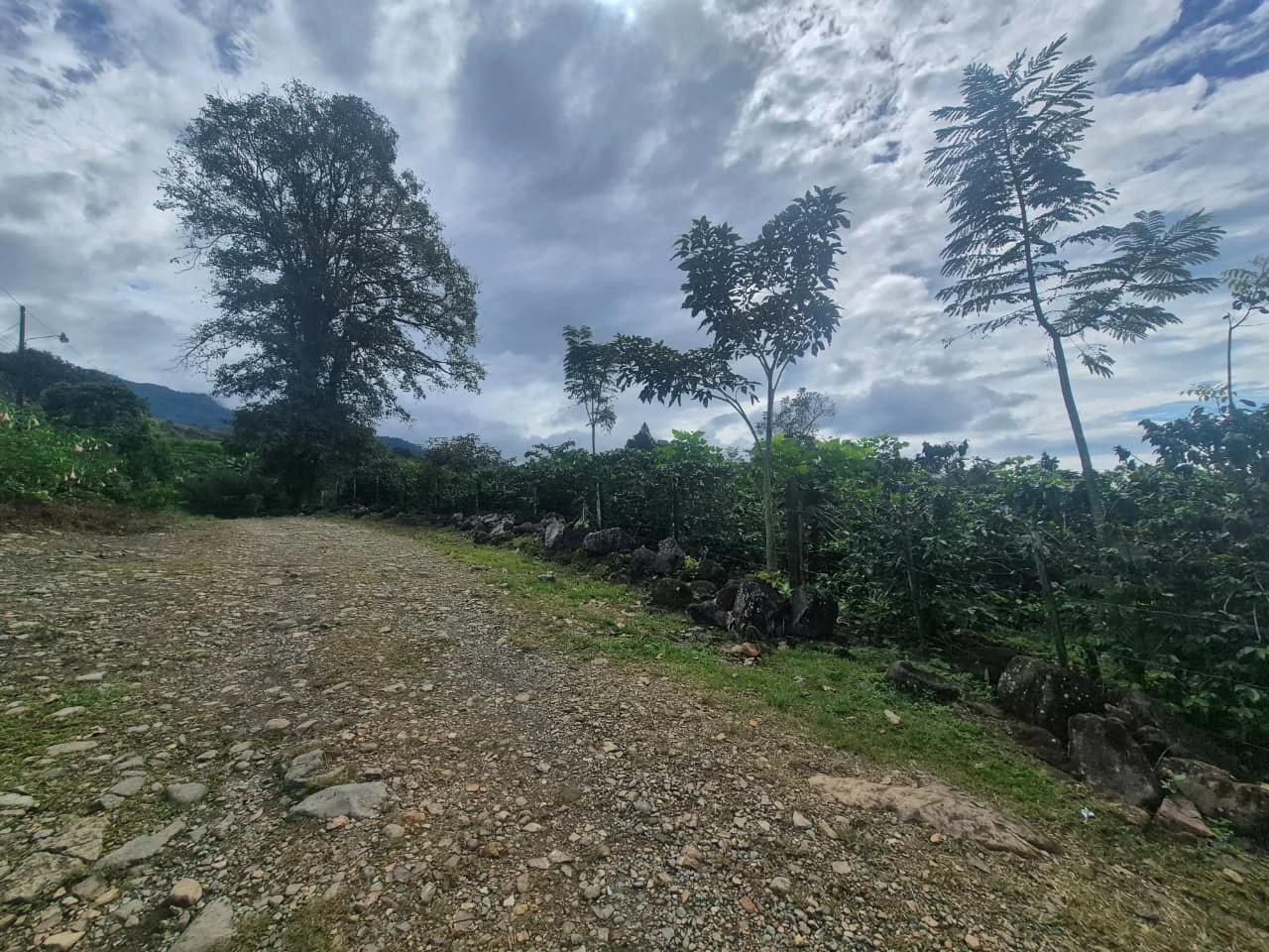 Countryside Agricultural Land For Sale in Santa Elena de San Isidro - Gallery image 13