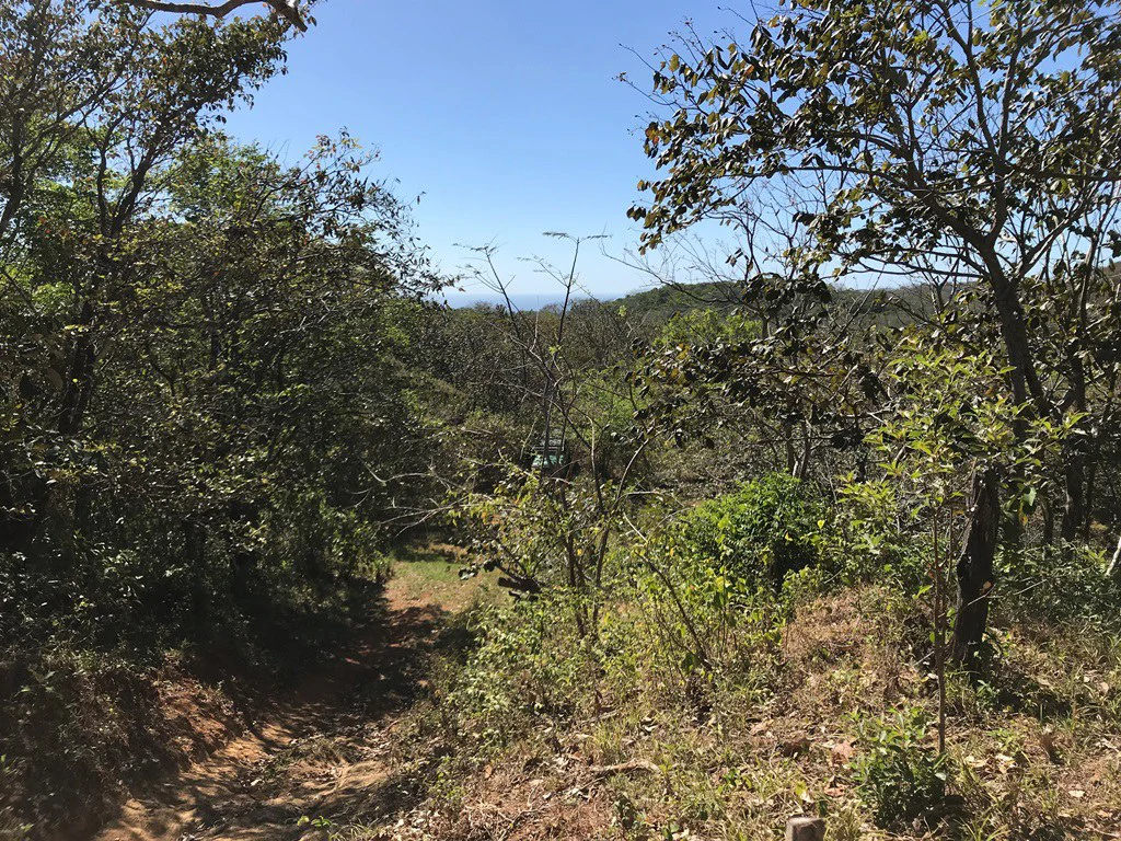 Ocean view farm for sale in the mountains of San Juanillo - Gallery image 22