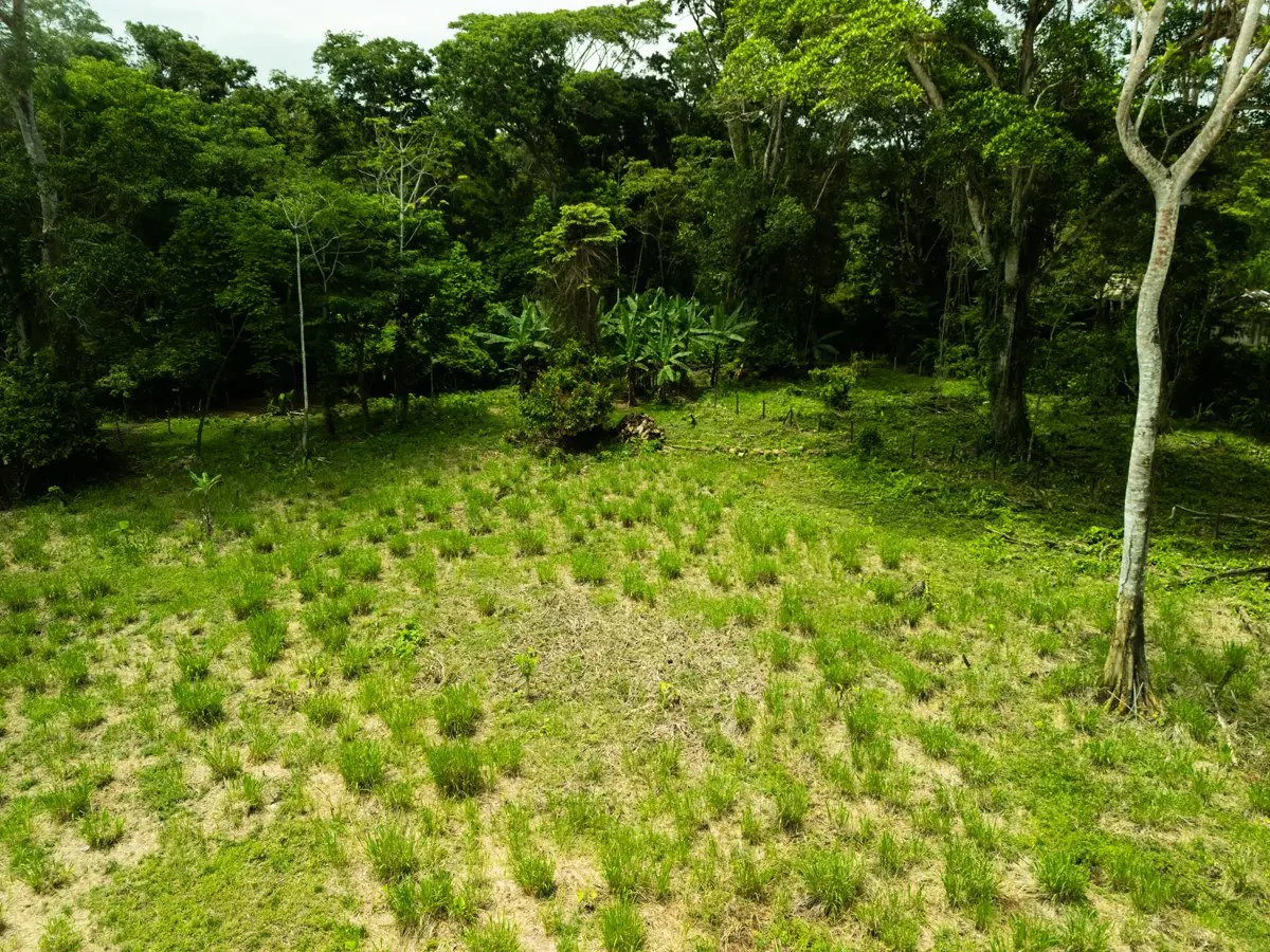 ID 1134: 3960m² Flat Development Lot Near Cahuita, Costa Rica - photo 4