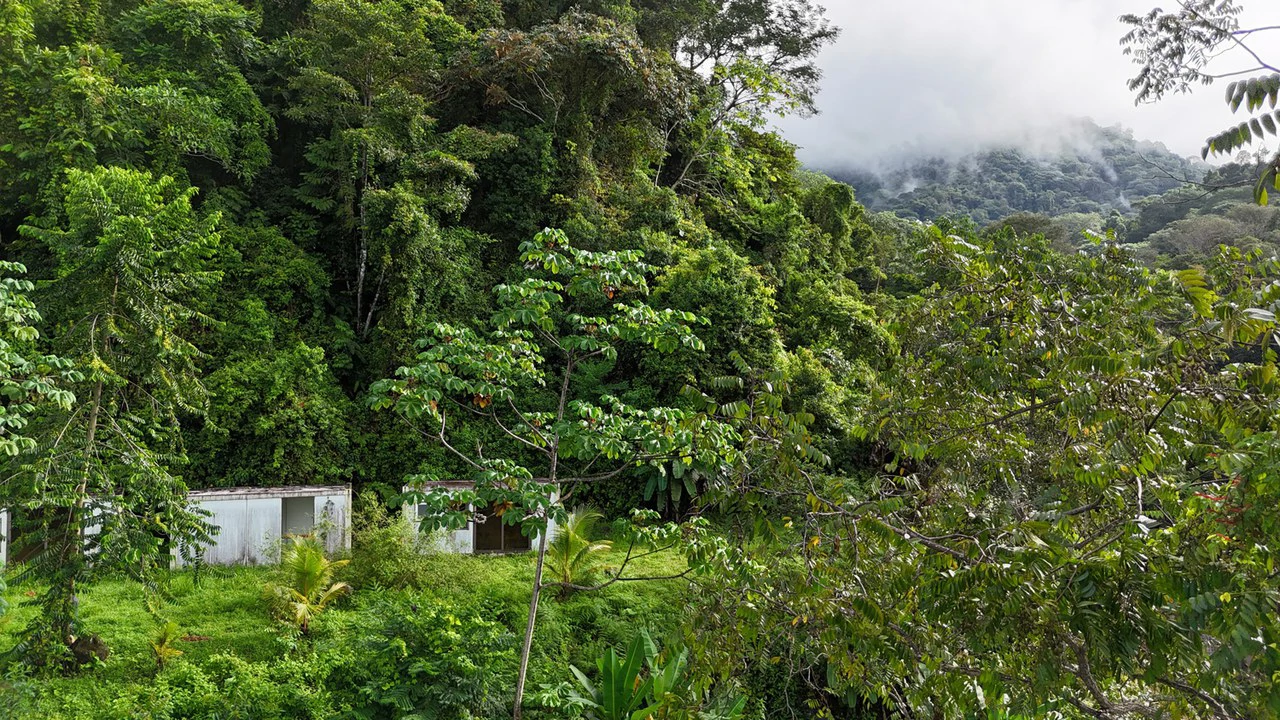 Exceptional Ocean & Mountain View Property in Pinuela Arriba, Costa Rica - Gallery image 8