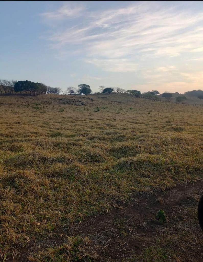 Finca Los Angeles: JUST REDUCED ! 281 Acre Farm with River, Lake, and Sunset views - Gallery image 13