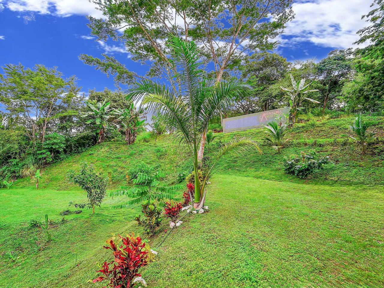 Lote Surfside - Jungle Lot mins to Surf and the River: Countryside Home Construction Site For Sale in Playa Samara - photo 10