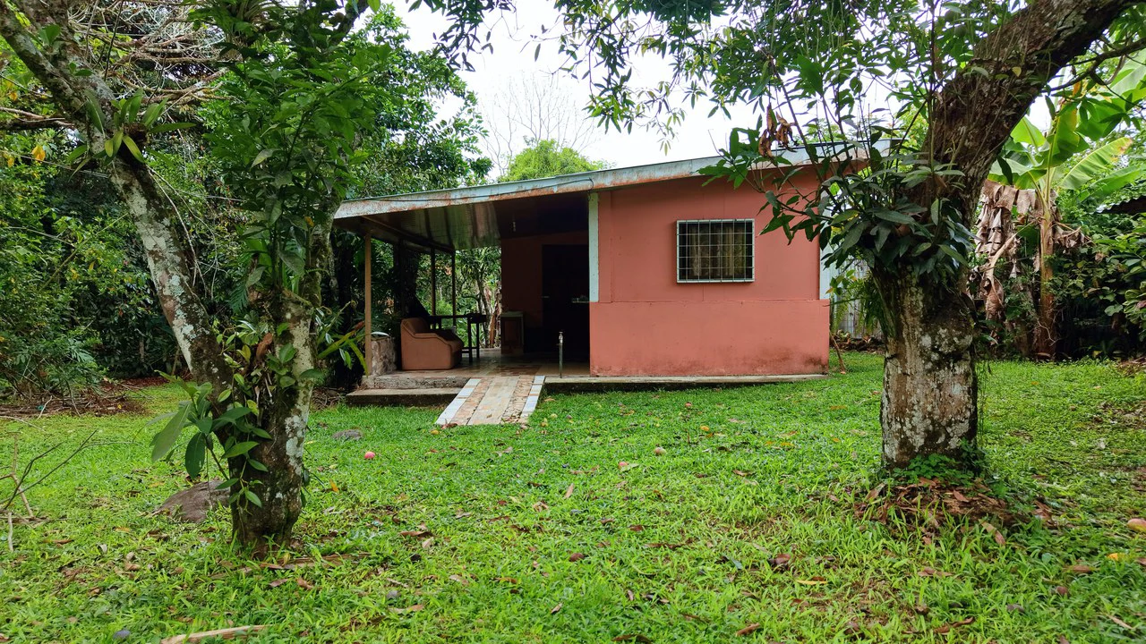 LOTE PLANO CON FRUTALES: Mountain Home Construction Site For Sale in General Viejo - Gallery image 11