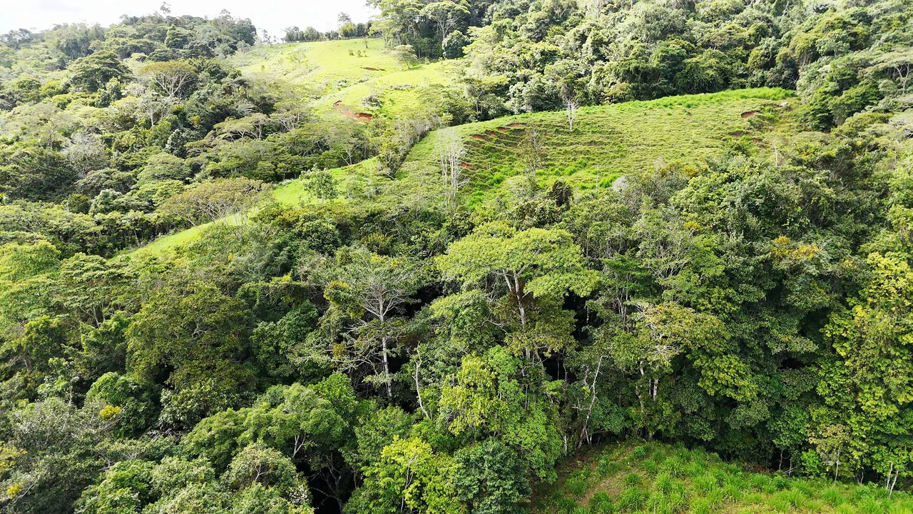 Mountain Agricultural Land For Sale in San Isidro del General - Gallery image 9
